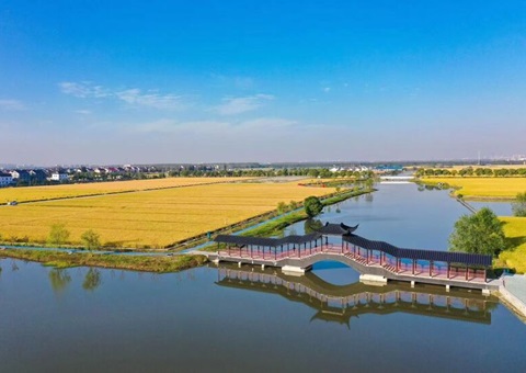 粮田变良田  江苏建成高标准农田面积4401万亩