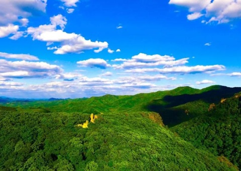 辽宁：林草领域获80亿元信贷支持