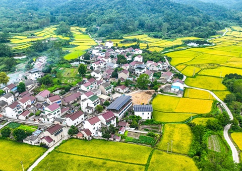 安徽省自然资源厅：130个州里耕地；ばЧ怀 获赔偿激励1.3亿元