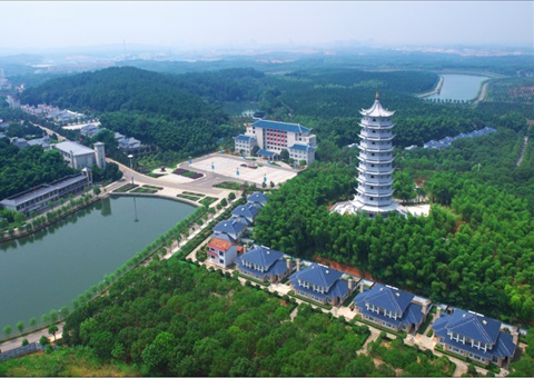 湖北：用好“一张图” ，智治有支持